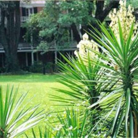 The Elms Bed And Breakfast Natchez Exteriör bild