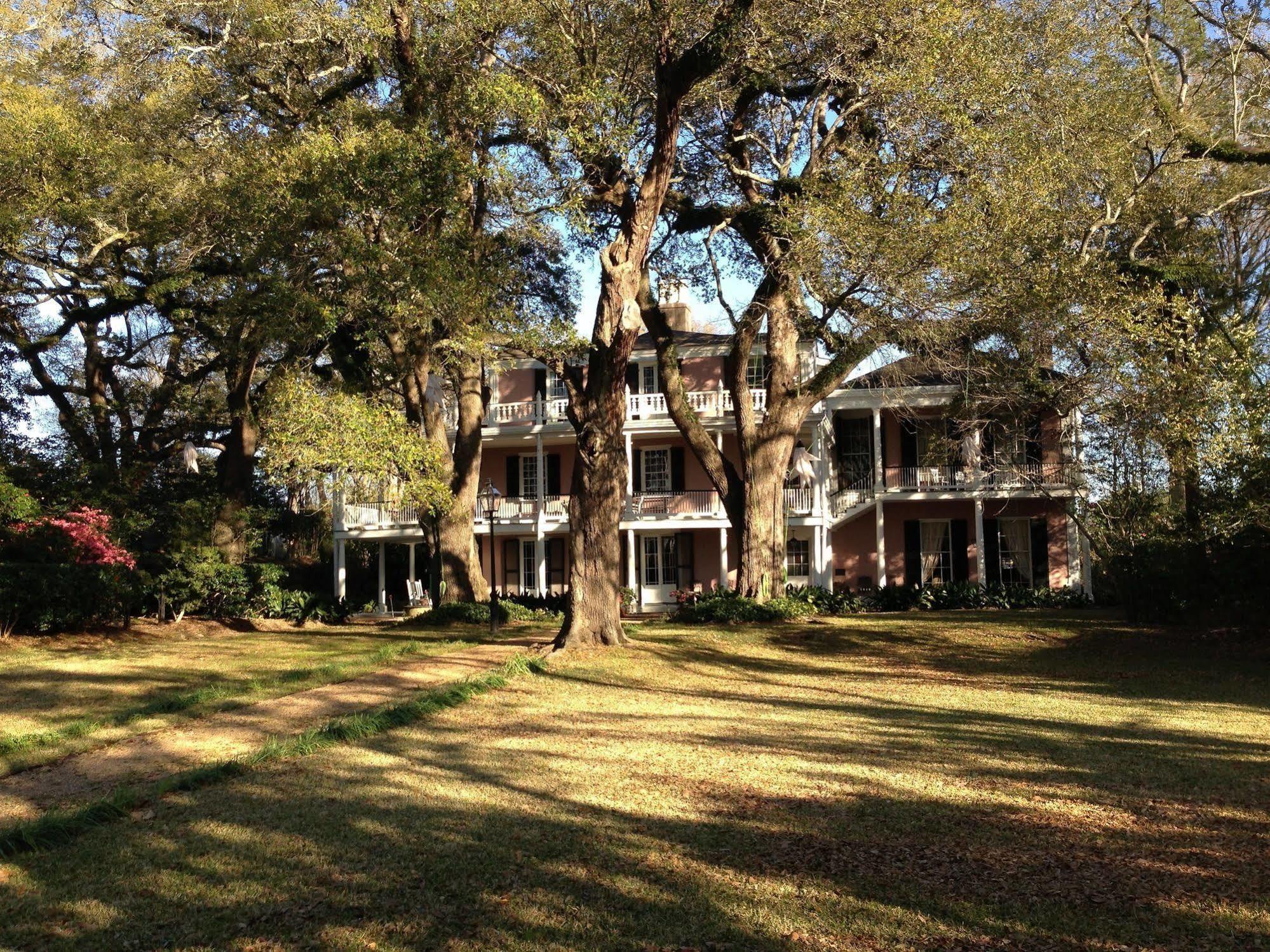 The Elms Bed And Breakfast Natchez Exteriör bild