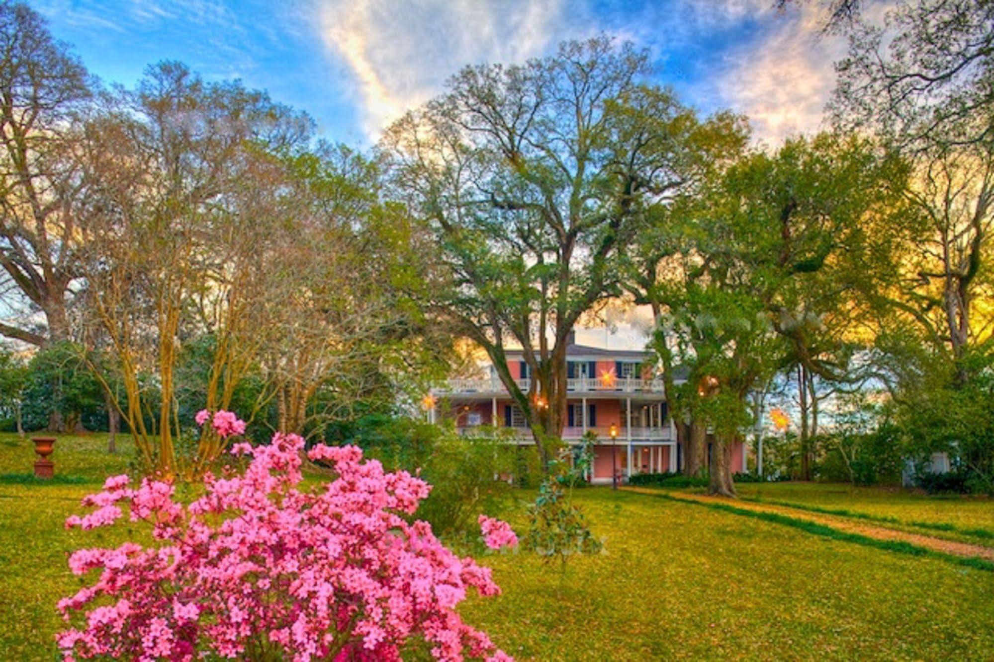 The Elms Bed And Breakfast Natchez Exteriör bild