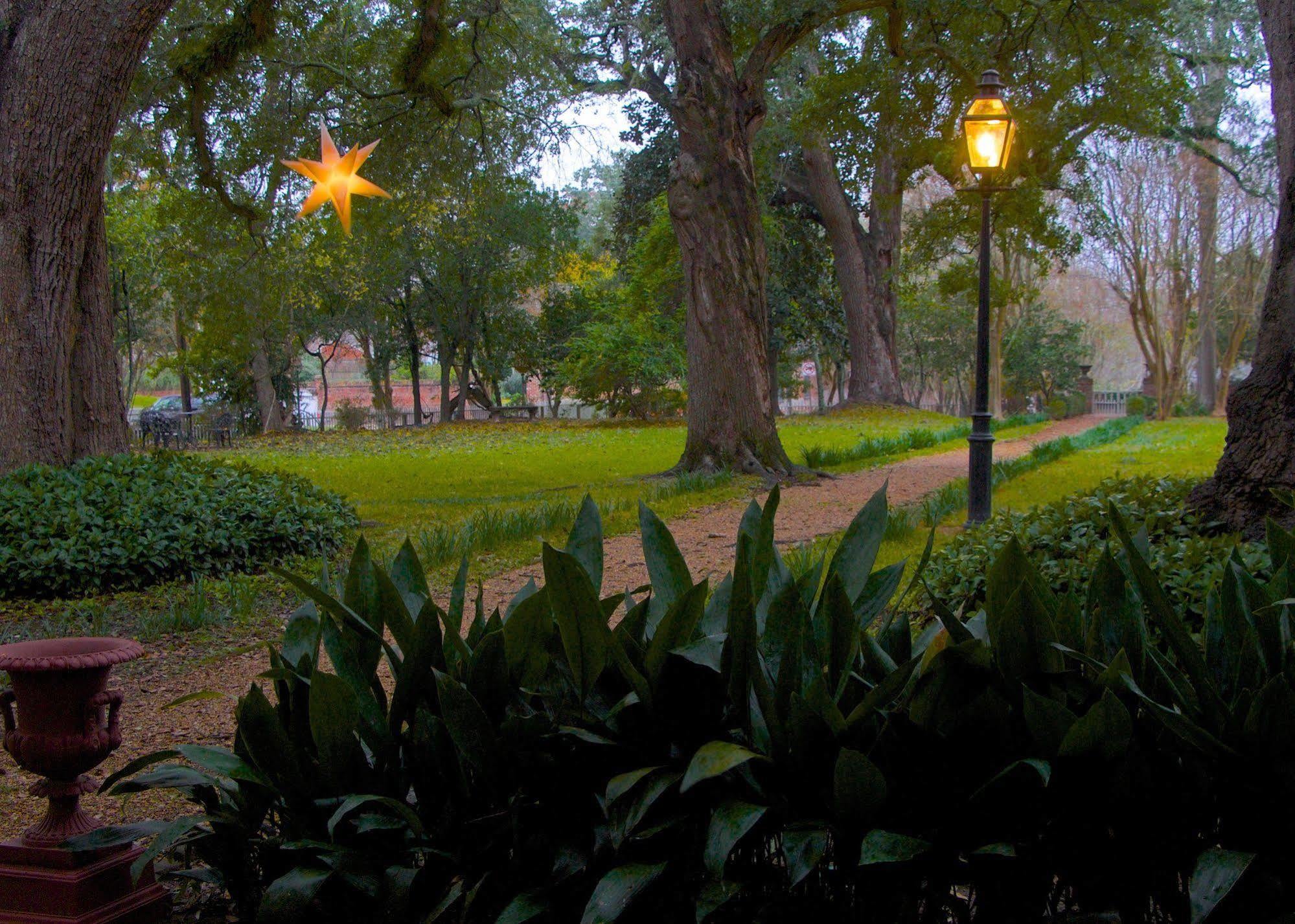 The Elms Bed And Breakfast Natchez Exteriör bild