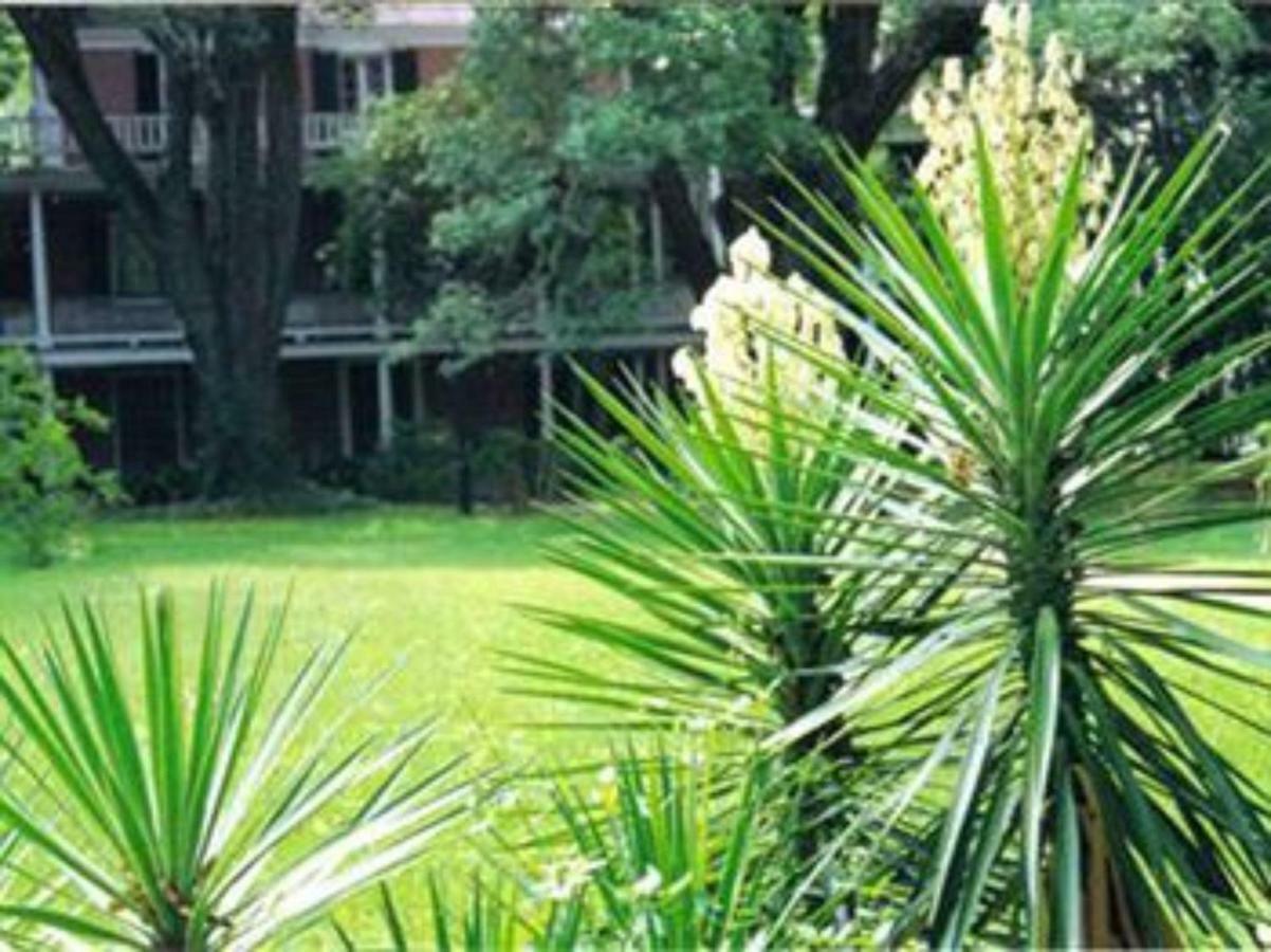 The Elms Bed And Breakfast Natchez Exteriör bild